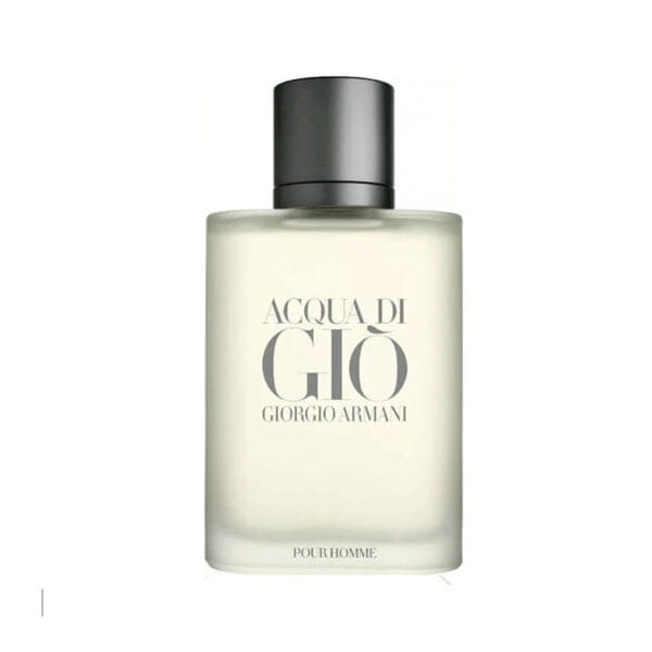 Armani Acqua di Gio Pour Homme 100 ML EDT TESTER